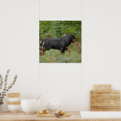 Movin' im Hof Poster (Küche)