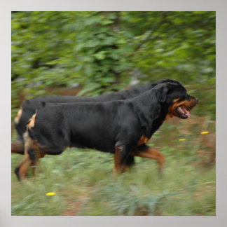 Movin' im Hof Poster