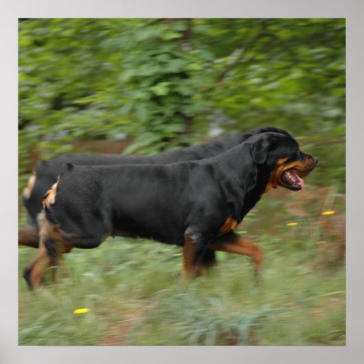 Movin' im Hof Poster (Vorne)