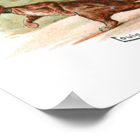 Moving House Louis Wain Poster (Ecke)