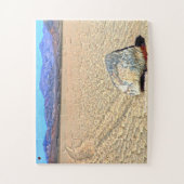 Moving Stones Death Valley Jigsaw Puzzle (Vertikal)