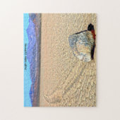 Moving Stones Death Valley Kalifornien. Jigsaw Puz Puzzle (Vertikal)