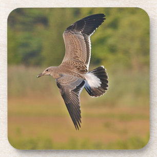 Möwe Achterbahn Untersetzer