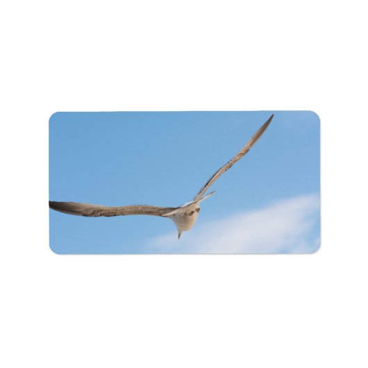 Möwe Adressaufkleber (Vorne)