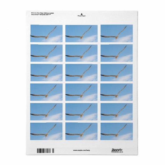 Möwe Adressaufkleber (Vorne)