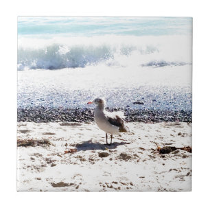 Möwe am Ozean am Strandbild Fliese