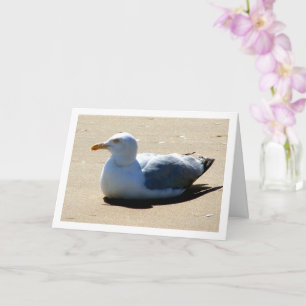 Möwe am Strandporträt Karte
