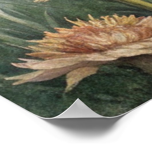 Möwe an der Küste Poster (Ecke)