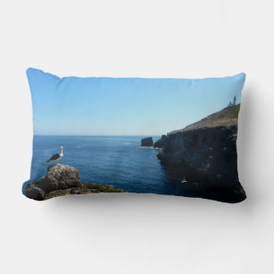 Möwe auf Anacapa Island bei Channel Islands Lendenkissen