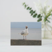 Möwe auf der Mauer an der Nordsee Postkarte (Stehend Vorderseite)