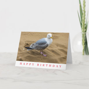 Möwe auf einer sandigen Strand-Geburtstagskarte Karte