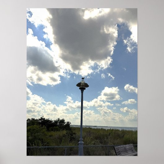 Möwe auf Lichtposter Poster (Vorne)