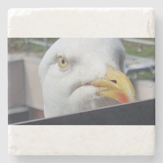 Möwe Blickend Steinuntersetzer (Vorderseite)