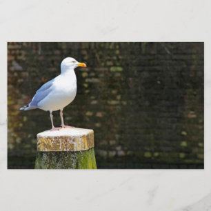 Möwe Briefpapier