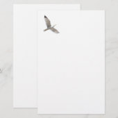Möwe Briefpapier (Vorne/Hinten)