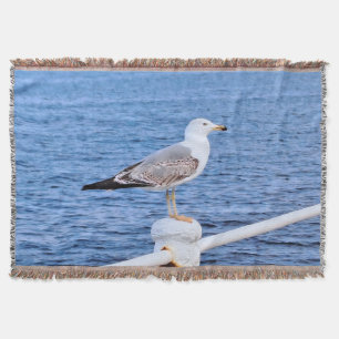 Möwe Constanta Rumänien – Schwarzmeer-Fotografie Decke