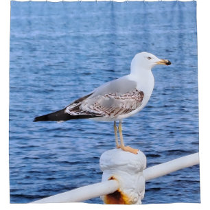 Möwe Constanta Rumänien – Schwarzmeer-Fotografie Duschvorhang