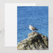 Möwe Feiertagskarte (Vorne/Hinten)