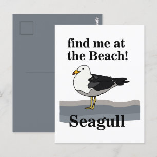 Möwe Find Me At The Beach Lustiger Vogel Postkarte