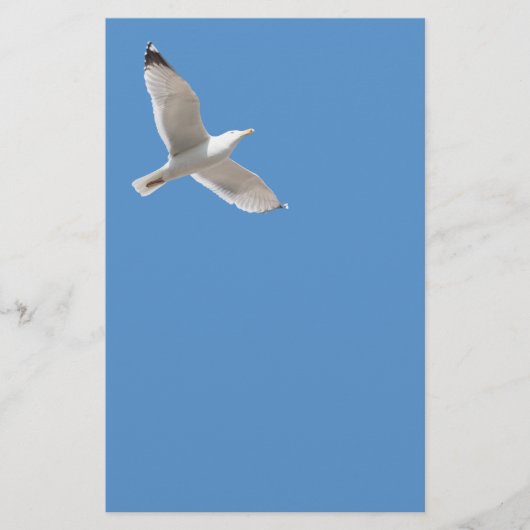Möwe Flyer (Vorne)