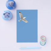Möwe Flyer (Einzeln)
