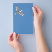 Möwe Flyer (Handgriff)