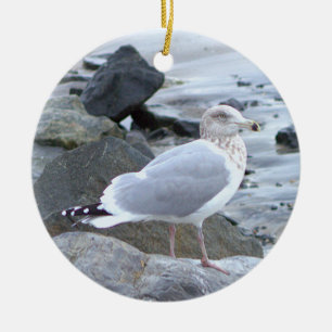 Möwe Foto Ornament