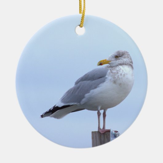 Möwe Foto Ornament (Vorne)