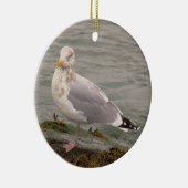 Möwe Foto Ornament (Rechts)