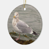 Möwe Foto Ornament (Links)