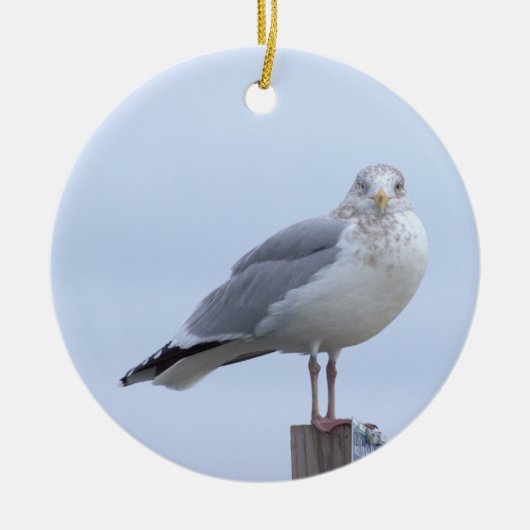 Möwe Foto Ornament (Vorne)