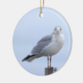Möwe Foto Ornament (Links)