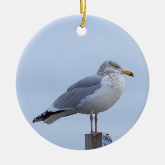 Möwe Foto Ornament (Vorne)