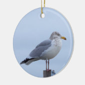Möwe Foto Ornament (Links)
