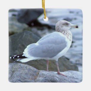 Möwe Foto-Ornament Keramikornament