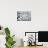 Möwe Foto Poster (Heimbüro)
