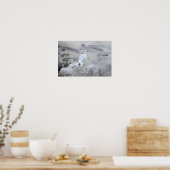 Möwe Foto Poster (Küche)
