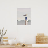 Möwe Foto Poster (Küche)