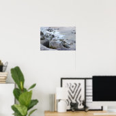 Möwe Foto Poster (Heimbüro)