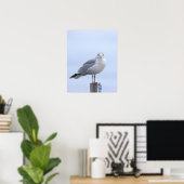 Möwe Foto Poster  (Heimbüro)