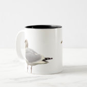Möwe Foto Tasse (Vorderseite Links)