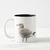 Möwe Foto Tasse (Links)