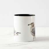 Möwe Foto Tasse (Mittel)