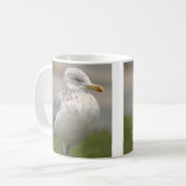 Möwe Foto Tasse (Vorderseite Links)