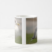 Möwe Foto Tasse (Mittel)