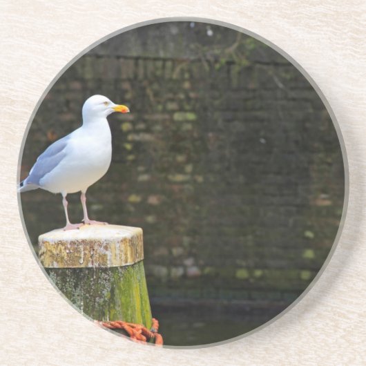 Möwe Getränkeuntersetzer (Vorne)