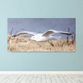 Möwe im Flug Leinwanddruck (Insitu (Holzboden))