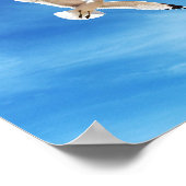 Möwe im Flug Poster (Ecke)