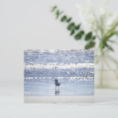 Möwe im Ozean Postkarte (Stehend Vorderseite)