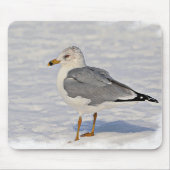 Möwe im Schnee Mousepad (Vorne)